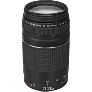Canon EF 75 300mm f 4 5.6 III Lens for sale in Harare and Bulawayo Zimbabwe Cart Gear ZW